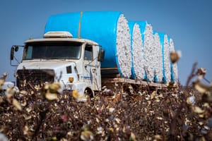 Mato Grosso lidera a balança comercial brasileira e saldo comercial atinge US$ 27 bilhões