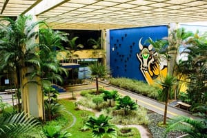 MT paga salário de janeiro com RGA aos servidores nesta sexta-feira e gira R$ 784 milhões na economia