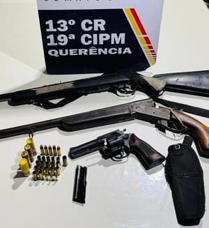 Polícia Militar prende homem por atirar em cachorro e apreende seis armas de fogo