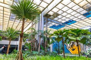 Mato Grosso fortalece microcervejarias e reduz ICMS na cadeia do pão francês