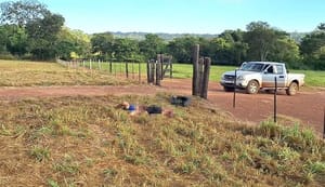 Membros de facção criminosa  são condenados a 237 anos por homicídios e sequestros em MT