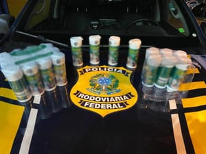 Cão farejador da PRF encontra 22 frascos com metanfetamina em ônibus na rodovia BR-364
