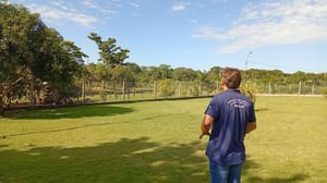 Mapa confirma caso de gripe aviária em  propriedade rural de MT e Indea ativa protocolo de contenção