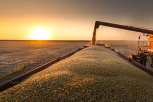 Grupo em Mato Grosso alega 'calote' de produtores e entra em Recuperação Judicial de R$ 260 milhões