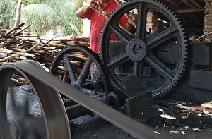 Alambique em MT é condenado e terá que pagar R$ 100 mil para trabalhador que teve braço amputado