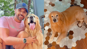 Gol relata recuperação judicial, mas juíza mantém aérea no banco dos réus por morte de cão